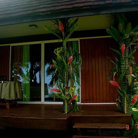 Tauhanihani Village Lodge La Vague Bleue Teahupoo Екстериор снимка