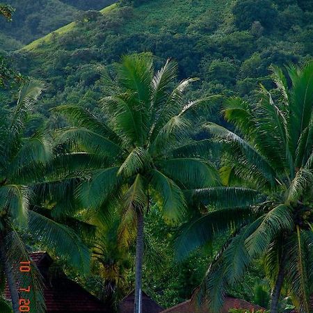 Tauhanihani Village Lodge La Vague Bleue Teahupoo Екстериор снимка