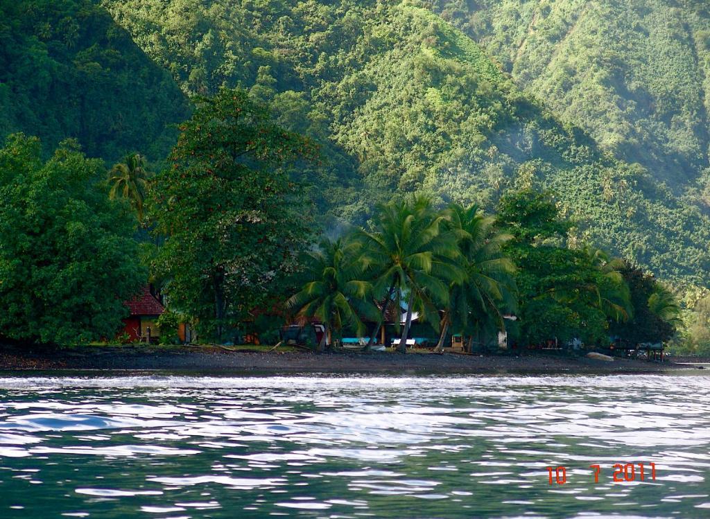 Tauhanihani Village Lodge La Vague Bleue Teahupoo Екстериор снимка