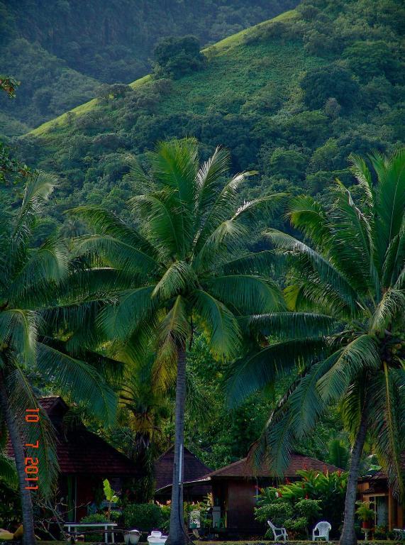 Tauhanihani Village Lodge La Vague Bleue Teahupoo Екстериор снимка